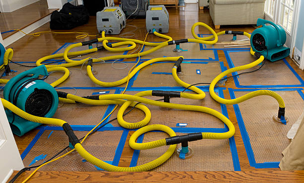 Professional Water Extraction technician working in Granville, IA